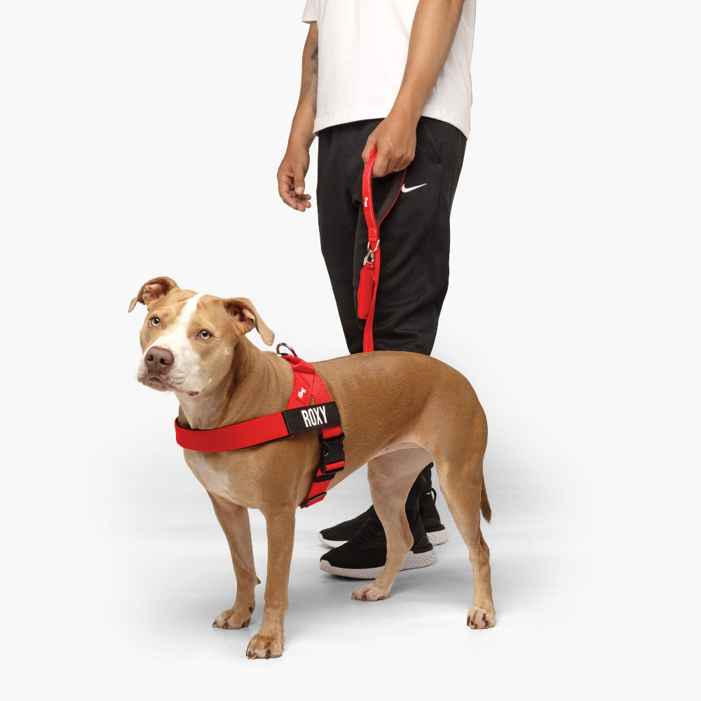 Dog Harness - Red