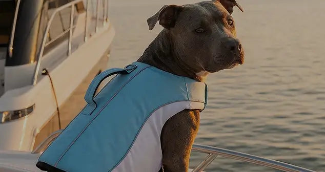 Shop Life Jackets