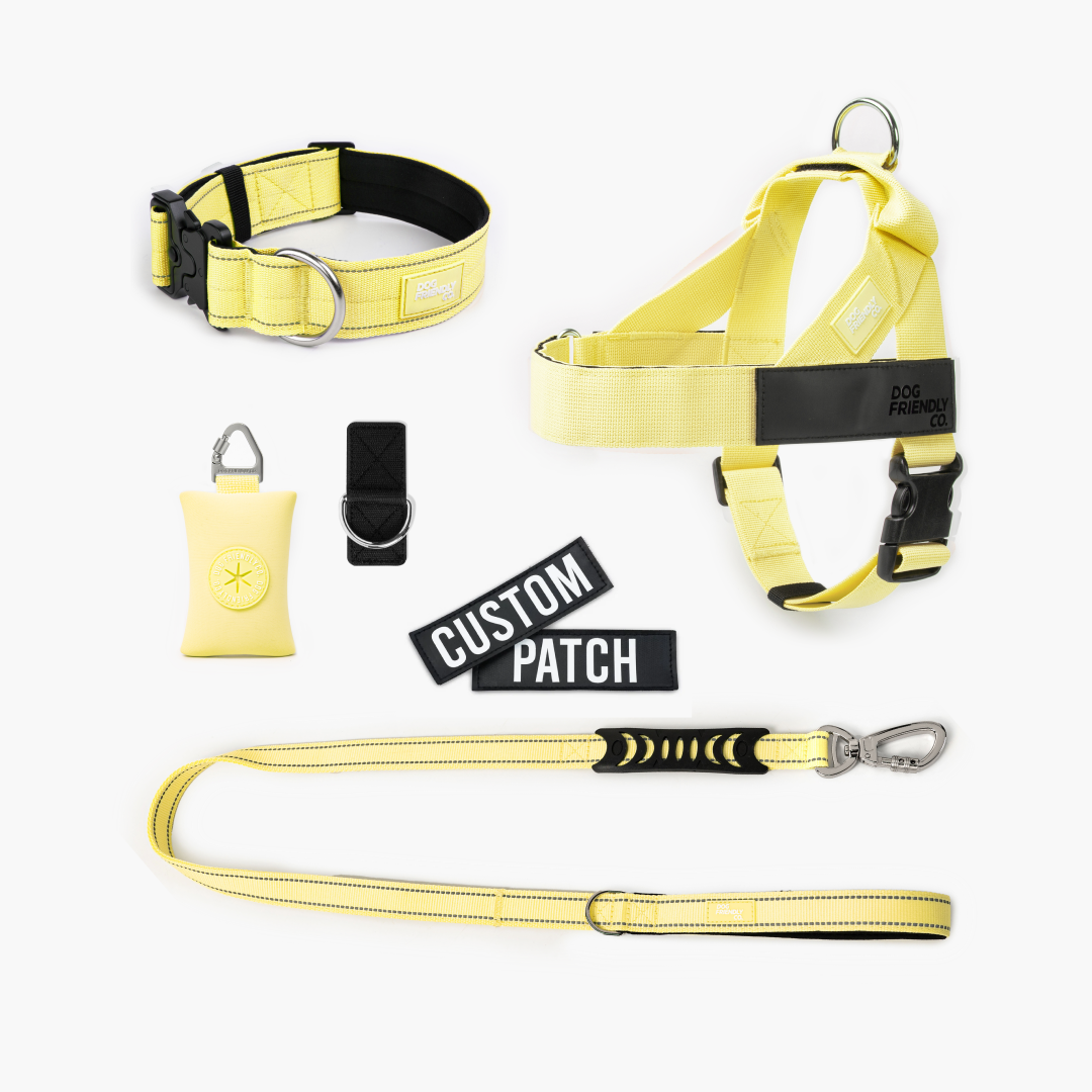 Walk Essentials - Yellow