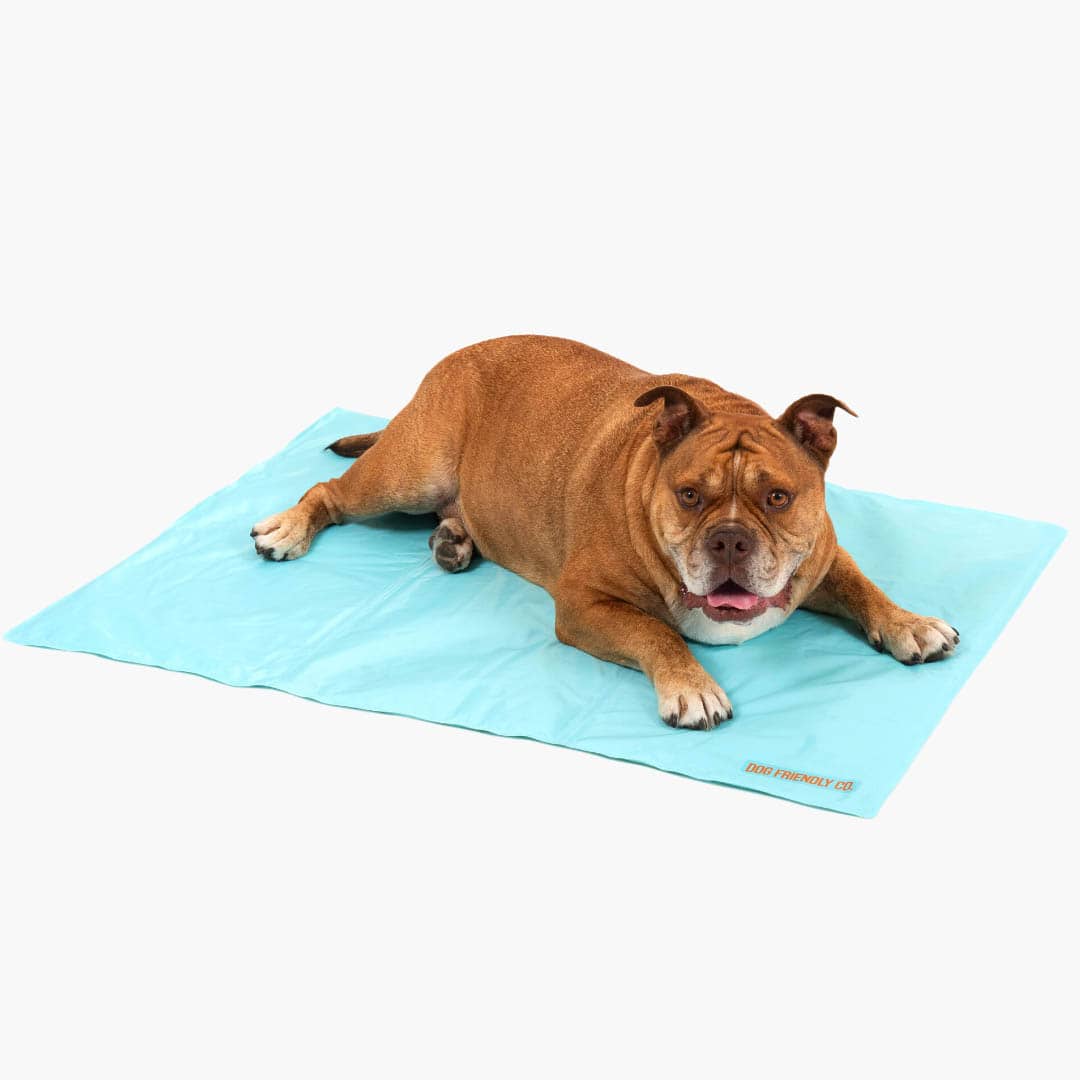 Dog Cooling Mat