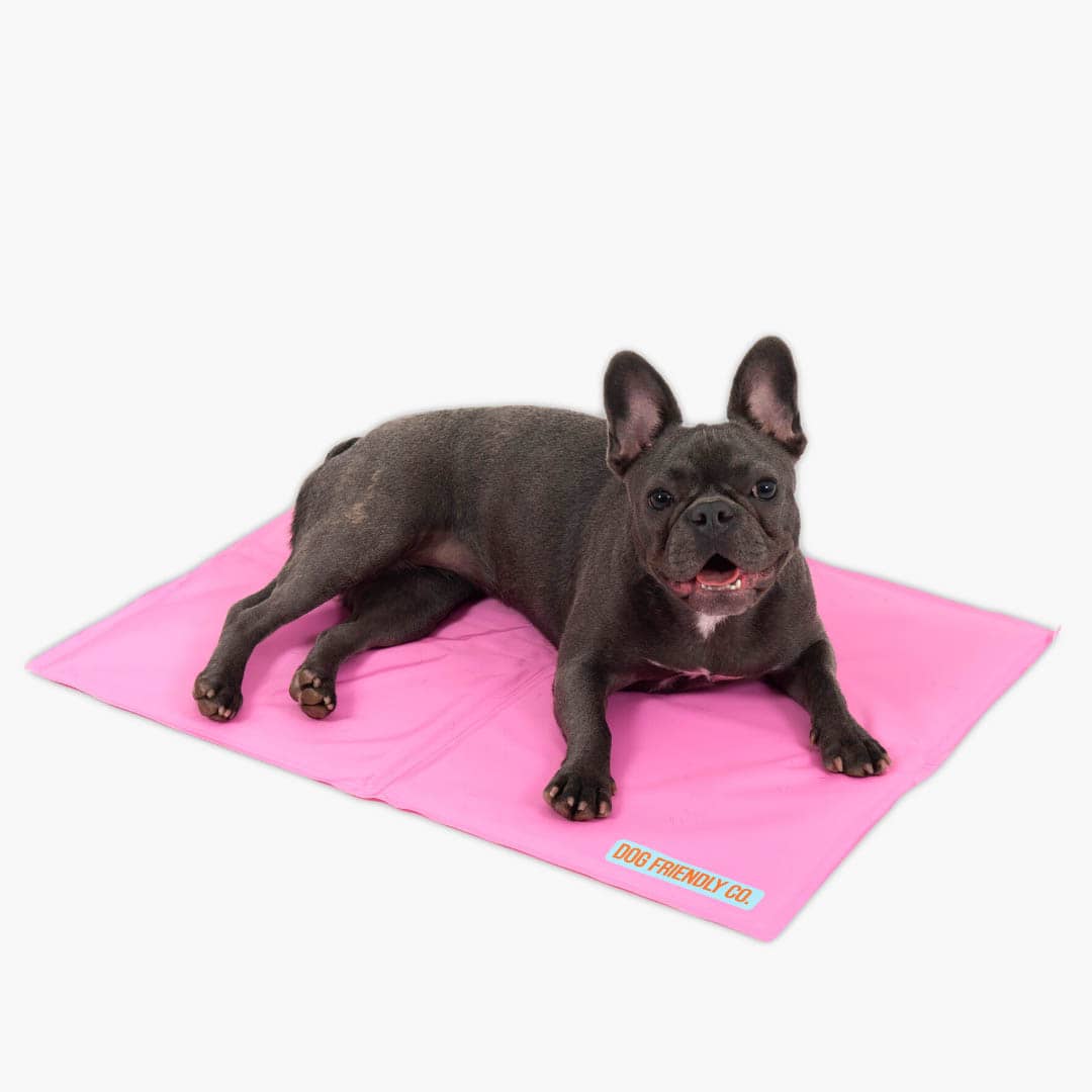 Dog Cooling Mat