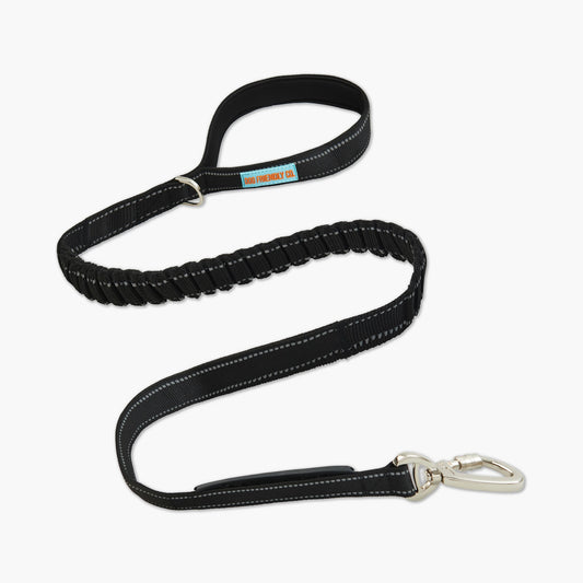 Bungee Dog Leash