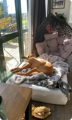 Customer photo from Emma Stol's bed review